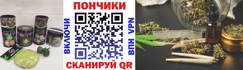 купить наркотик  Павловская  блэк спрут ссылка  Cannafood марихуана 