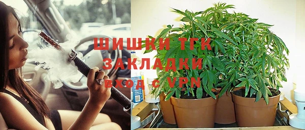 МДПВ Белокуриха