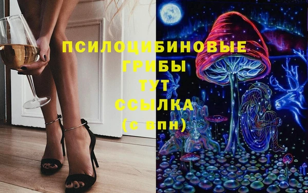 ПСИЛОЦИБИНОВЫЕ ГРИБЫ Нея